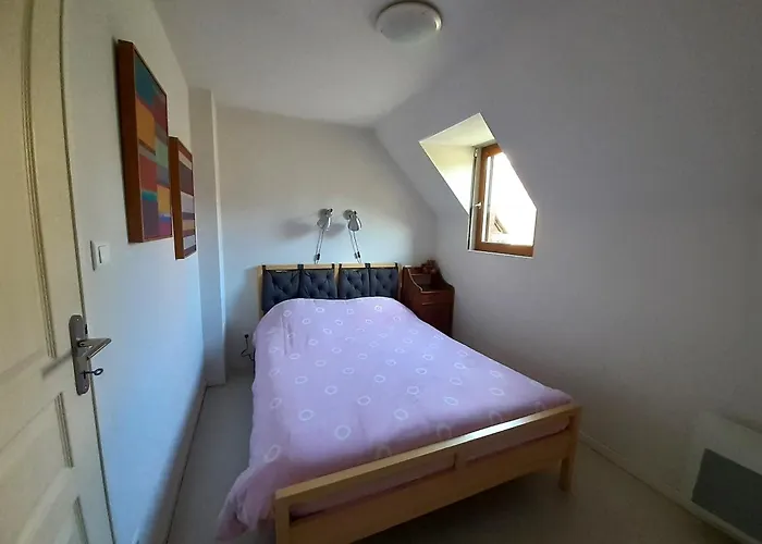 Joli Triplex 3 Etoiles, Avec Jardin Et Cheminee Génos