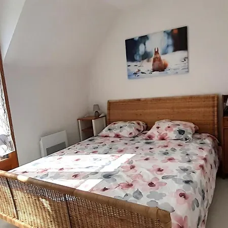 Joli Triplex 3 Etoiles, Avec Jardin Et Cheminee Apartment Genos